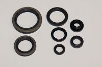 Motor pakdåse kit SUZUKI RM250 96-99