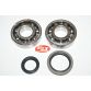 Leje kit for krumtap SUZUKI RM250 96-06