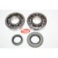 Leje kit for krumtap SUZUKI RM250 03-08