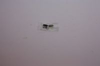 Nitteled knastkæde BF05T DID 05T