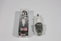 CHAMPION Tændrør  QL55