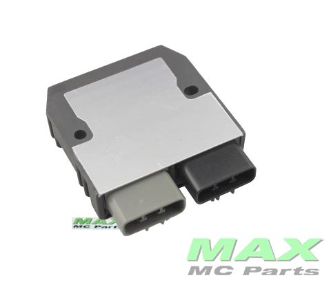 Ensretter BMW R1200GS S1000R