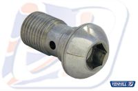 Banjo Bolt M10x1,00 STAINLESS SINGLE