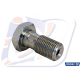 Banjo bolt 1/8 BSP ZINK TREAT SINGLE