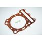 GASKET COPPER, CYLINDER HEAD TE450