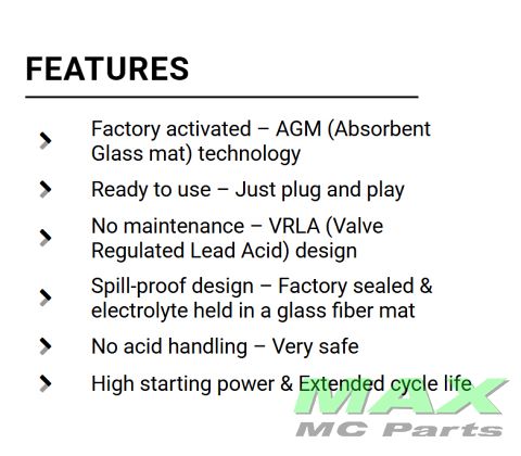 BS BATTERI *SLA* BTX12-BS/YTX12-BS