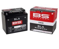 BS BATTERI *SLA* DIN 53030  BMW