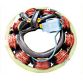 Stator KAWASAKI Z1 Z900 Z1000