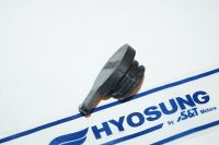 CAP,EXPANSION TANK GT650 GT250