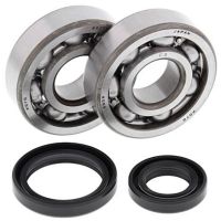 Crank Bearing and Seal Kit RM85 02-17