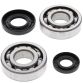 Crank Bearing and Seal Kit YZ250 01-18