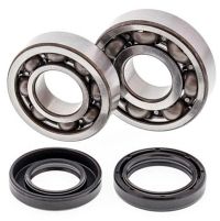 Crank Bearing and Seal Kit YFS200 BLASTE