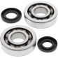 Crank Bearing and Seal Kit KX250 02-07