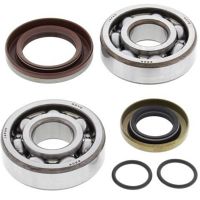Crank Bearing and Seal Kit SX 65  SXS65