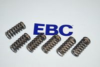 EBC Clutch spring kit (6 pcs) CSK120